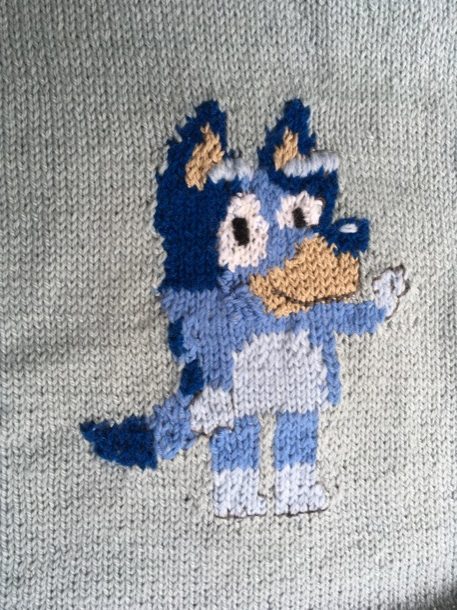 Bluey close up
