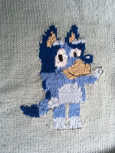 Bluey jumper