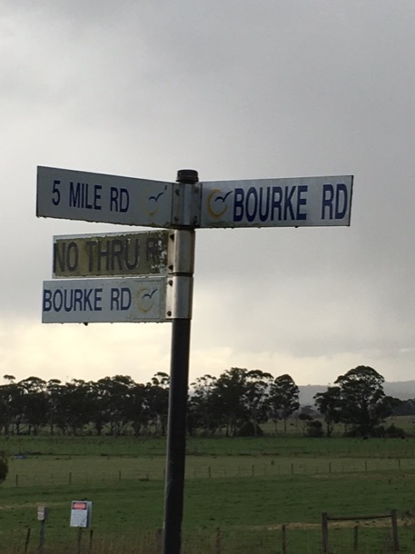 Snowview's Road